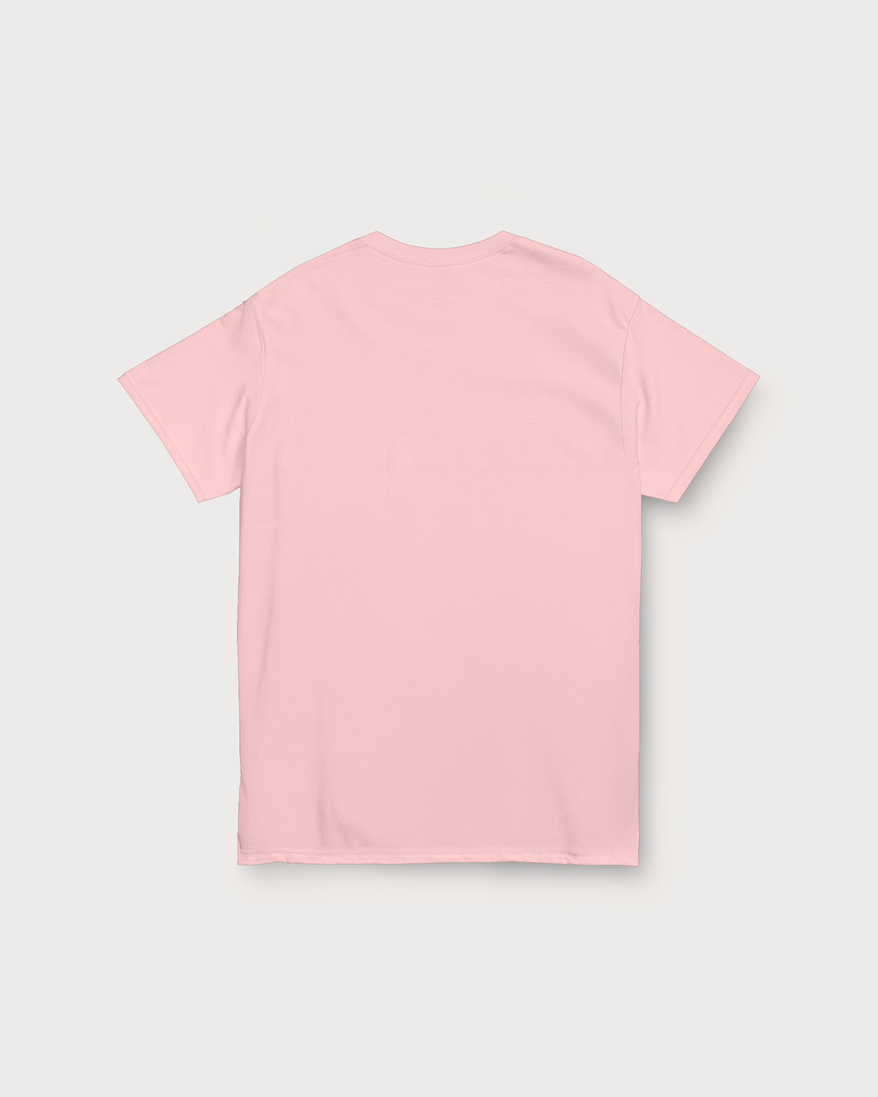 CTRL ALT DELULU classic t-shirt