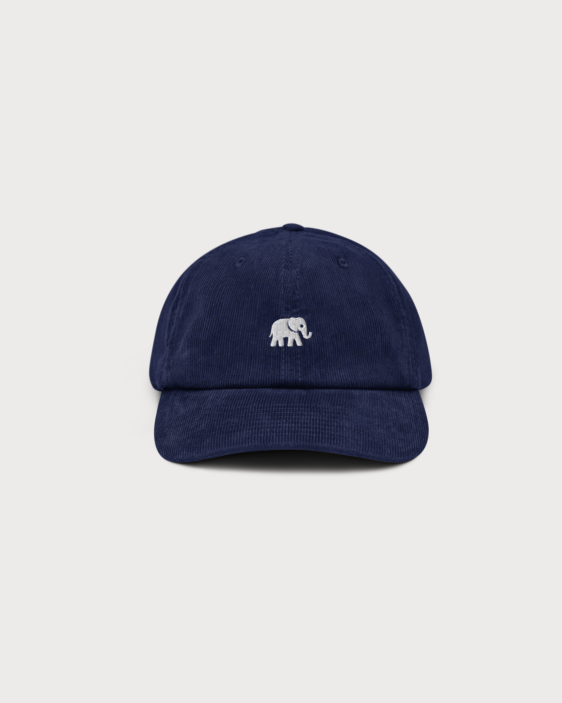 Elephant in the Room