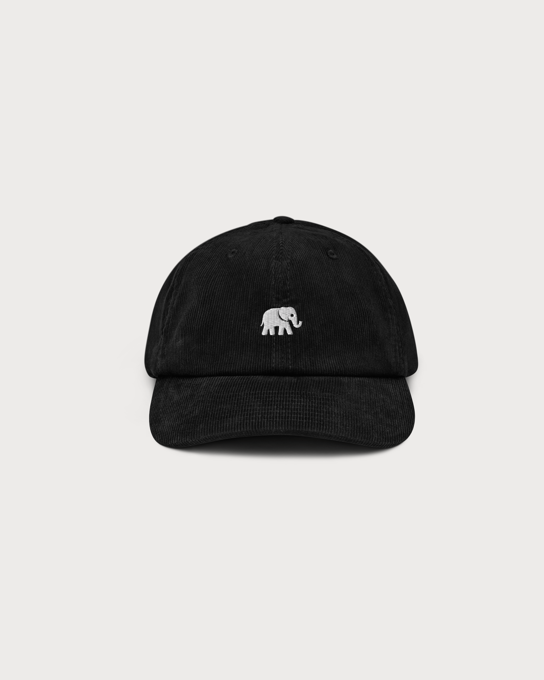 Elephant in the Room