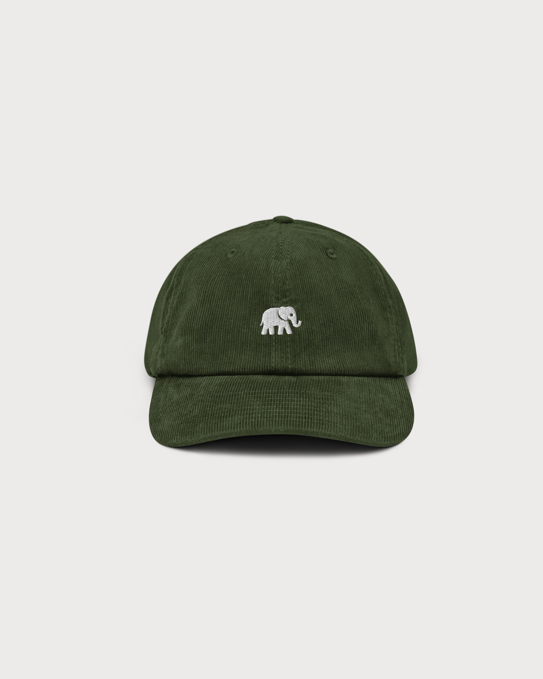 Elephant in the Room
